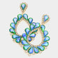 Bling Loop Earrings